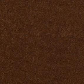 Molasses Zoomed Swatch