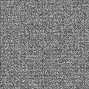 Grey Parrot Zoomed Swatch