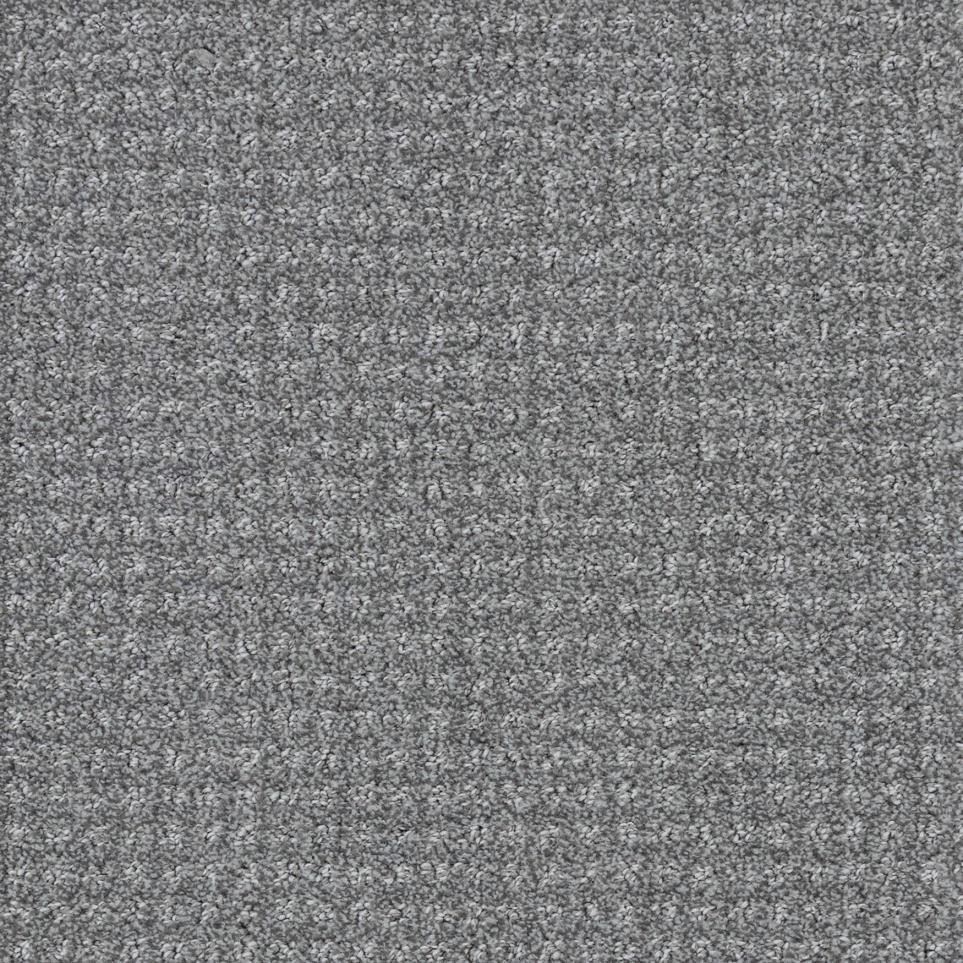 Grey Parrot Zoomed Swatch