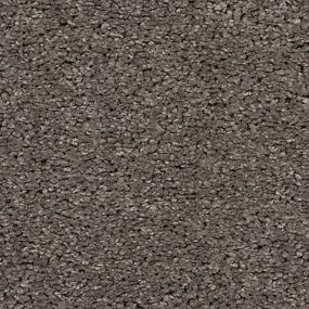 Simply Amazing - Portobello Swatch