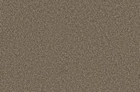 Acorn Swatch Thumbnail