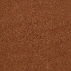 Brassy Zoomed Swatch