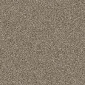 Elevated III - Rodeo Swatch