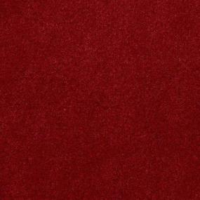 Petal Zoomed Swatch