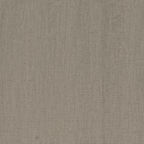 Conga - Muddy River Swatch