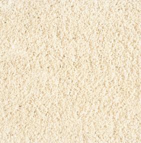 Shaggy Plush - Ivory Swatch