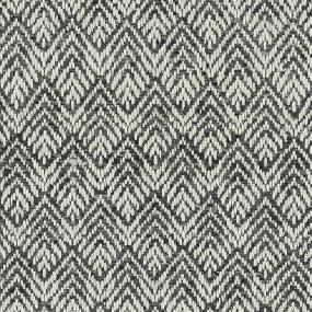 Charcoal Zoomed Swatch