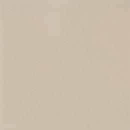 Matte Urban Putty Matte Swatch