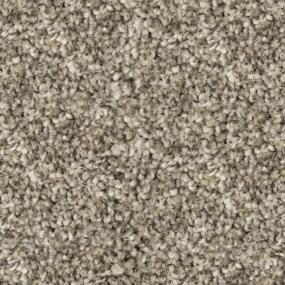 Shine Plus - Breaking Storm Swatch