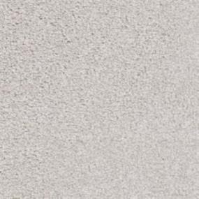 Top Dog - Bichon Frise Swatch