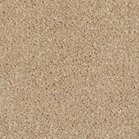 Warm Beige Zoomed Swatch