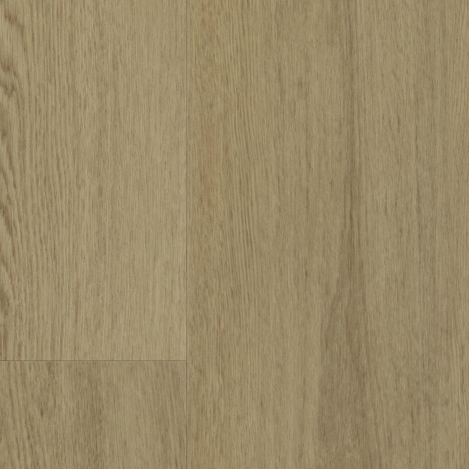Light Almond Zoomed Swatch
