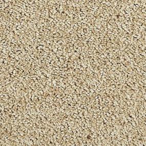 Whisper Willow - Young Fawn Swatch