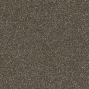 Established Zoomed Swatch