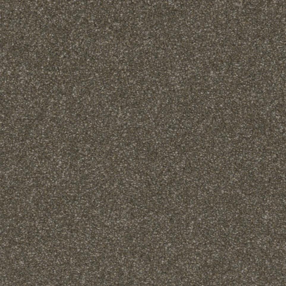 Established Zoomed Swatch