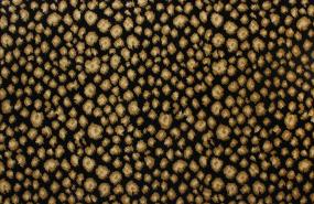 New Leopard - Hunter Swatch
