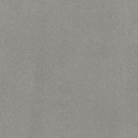 Spacious Tonal - Snow Slide Swatch