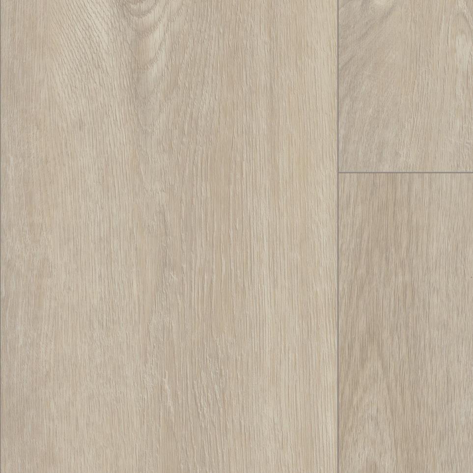 Silver Coins Zoomed Swatch