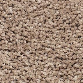 Hickory Tan Zoomed Swatch