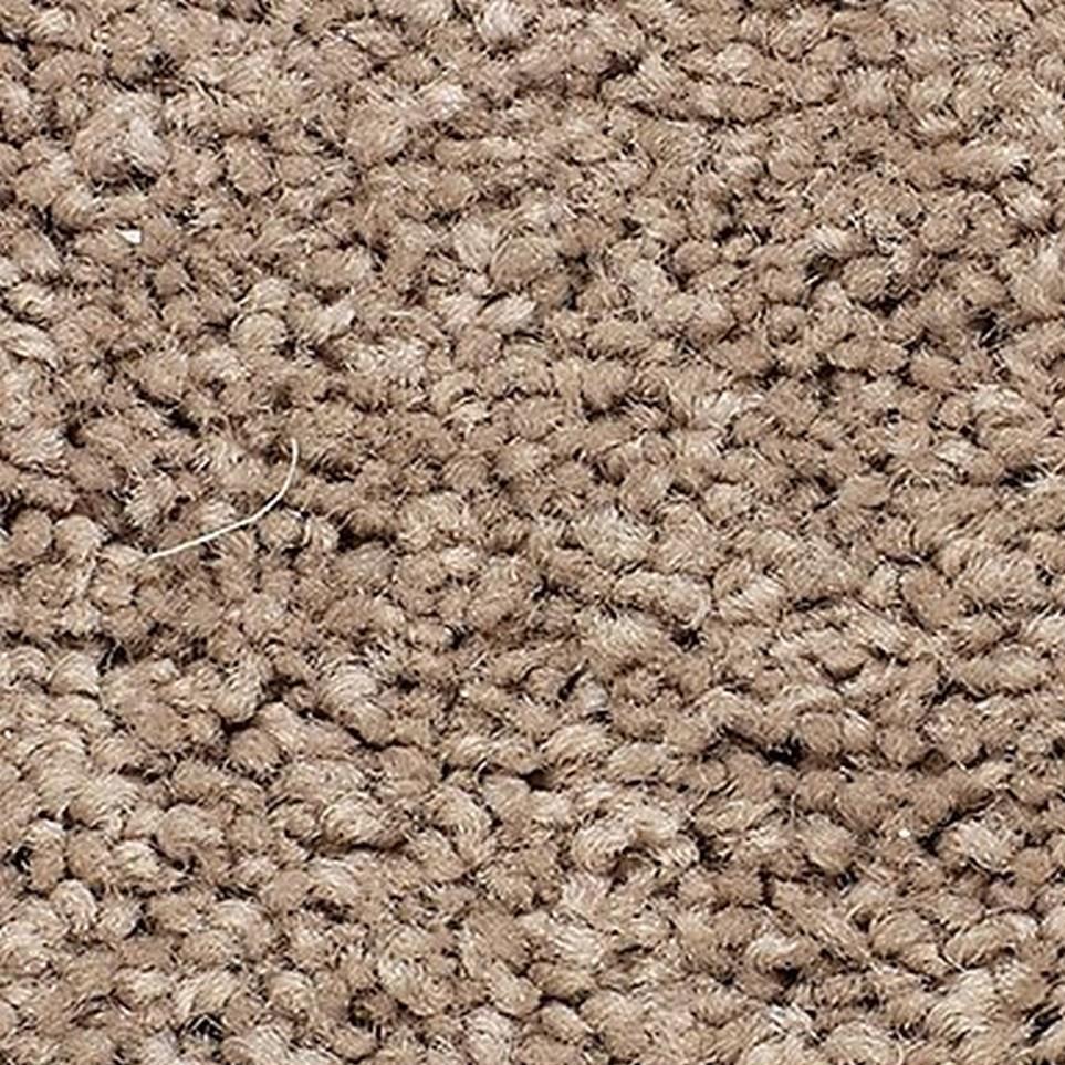 Hickory Tan Zoomed Swatch