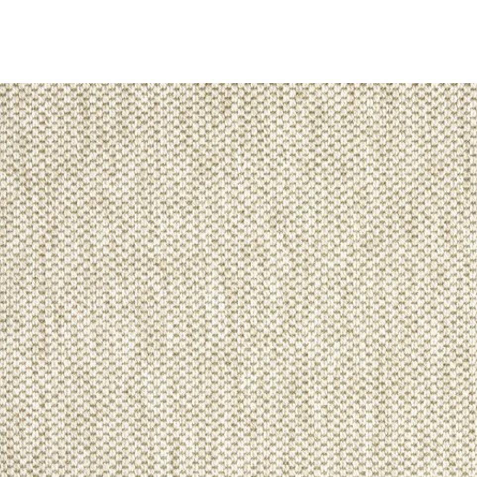Oyster Zoomed Swatch