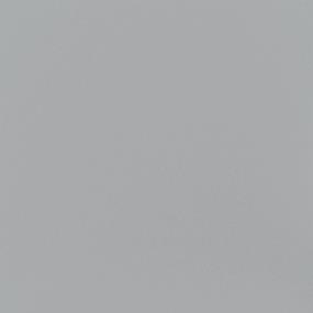 Gray Matte Swatch Thumbnail