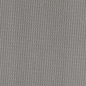 Spendor Zoomed Swatch