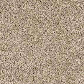 Almond Zoomed Swatch