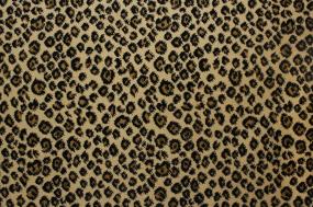 New Leopard - Caracal Swatch