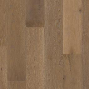 Coventary Oak - Antique Swatch