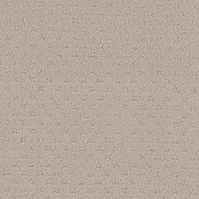 Spectrum Zoomed Swatch