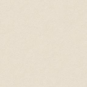 Posh Plushy - Bare Silk Swatch