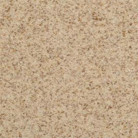 Chromatic Touch - Parchment Swatch