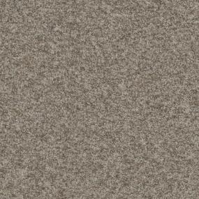 Driftwood Zoomed Swatch