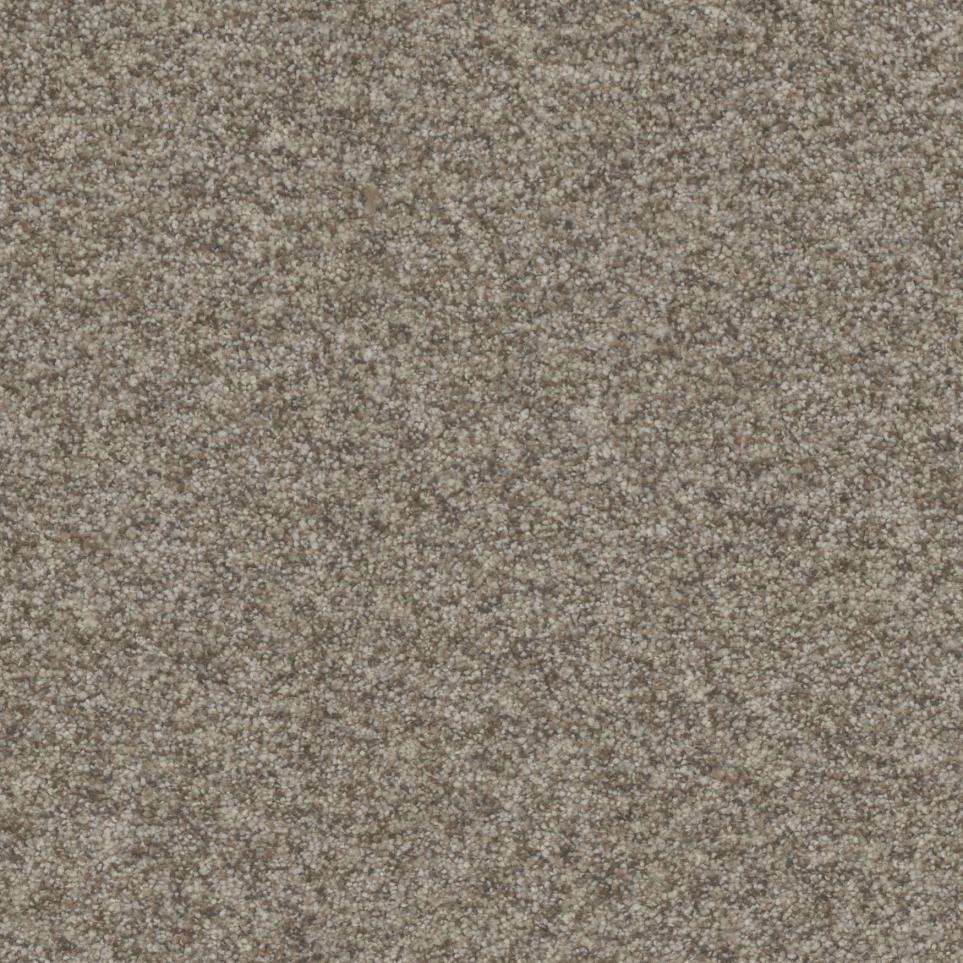 Driftwood Zoomed Swatch