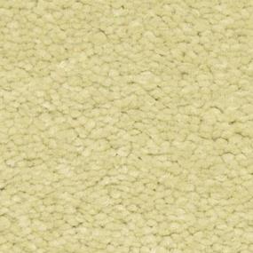 Te'verde Zoomed Swatch