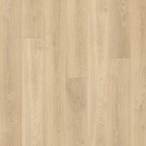 Timeless Beauty - Thorndale Swatch