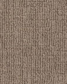 Wayfarer - Driftwood Swatch