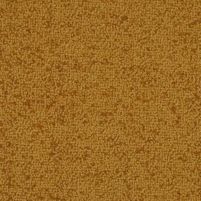 Waimea - Relic Swatch