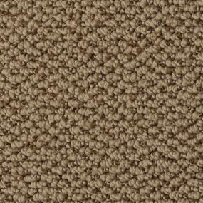 Bison Swatch Thumbnail