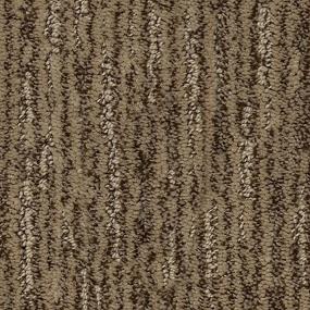 Classic Features - Pamphlet Swatch