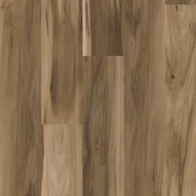 Redwood Swatch