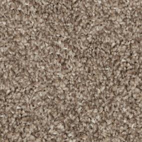 Cougar Zoomed Swatch