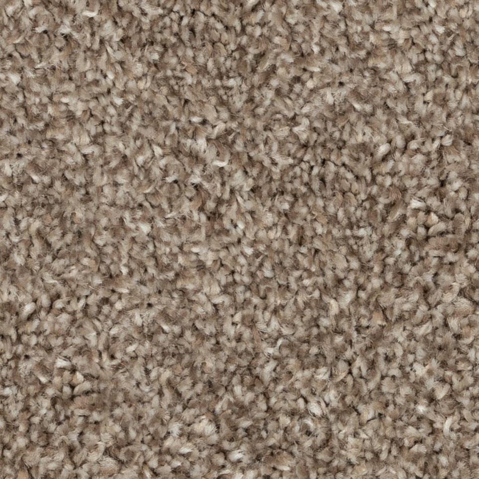 Cougar Zoomed Swatch