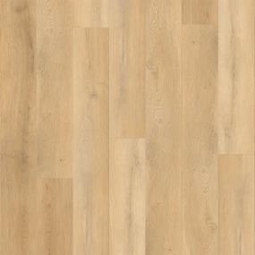 Toasted Timber Swatch