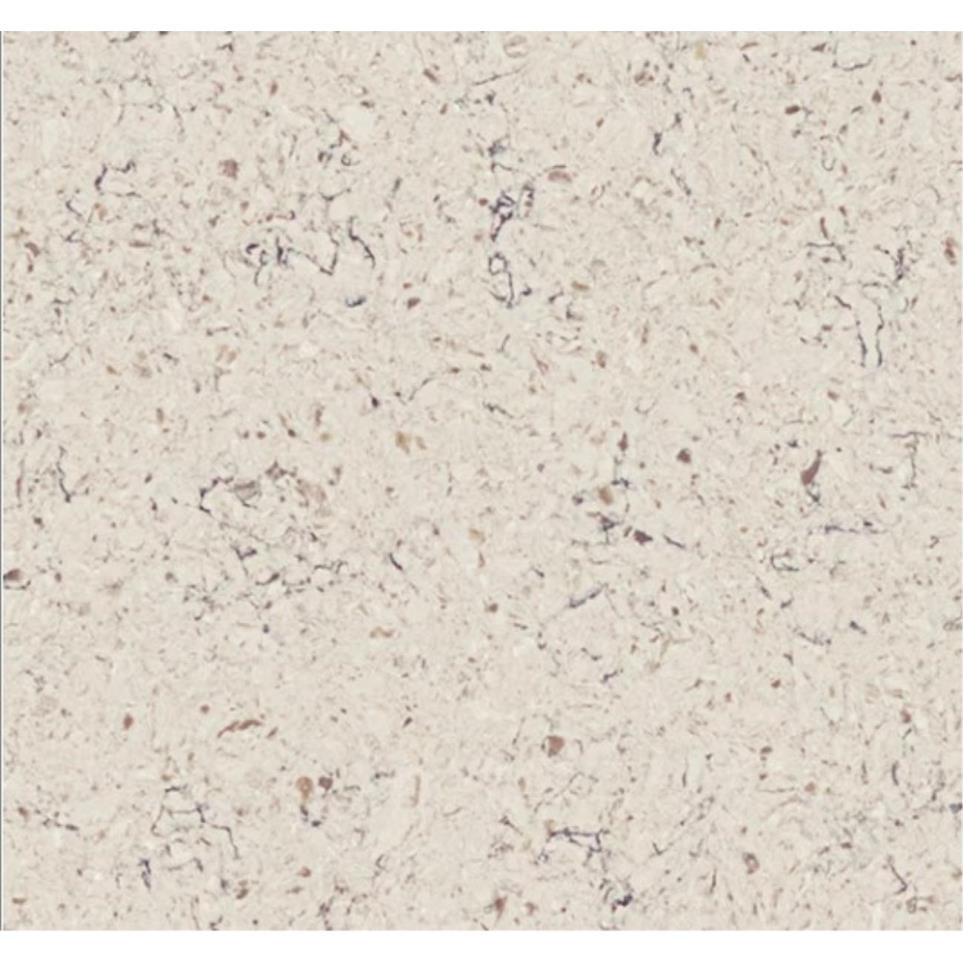 Alpino Rectangle 20X40 PL by Daltile - Alpino Polished