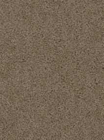 Sweepstakes - Taupe Swatch