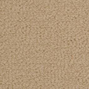 Savant - Castle Swatch