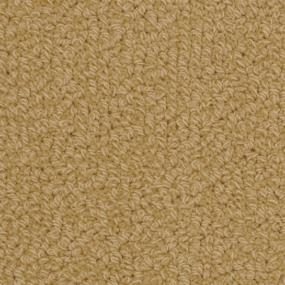 Savant - Mchugh Swatch