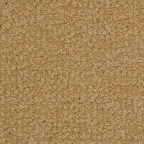 Savant - Padgett Swatch